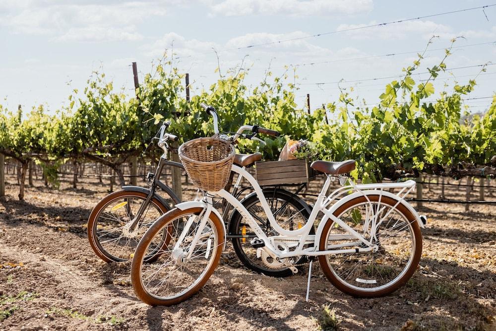 Four Seasons Resort Napa Valley Калистога Екстериор снимка