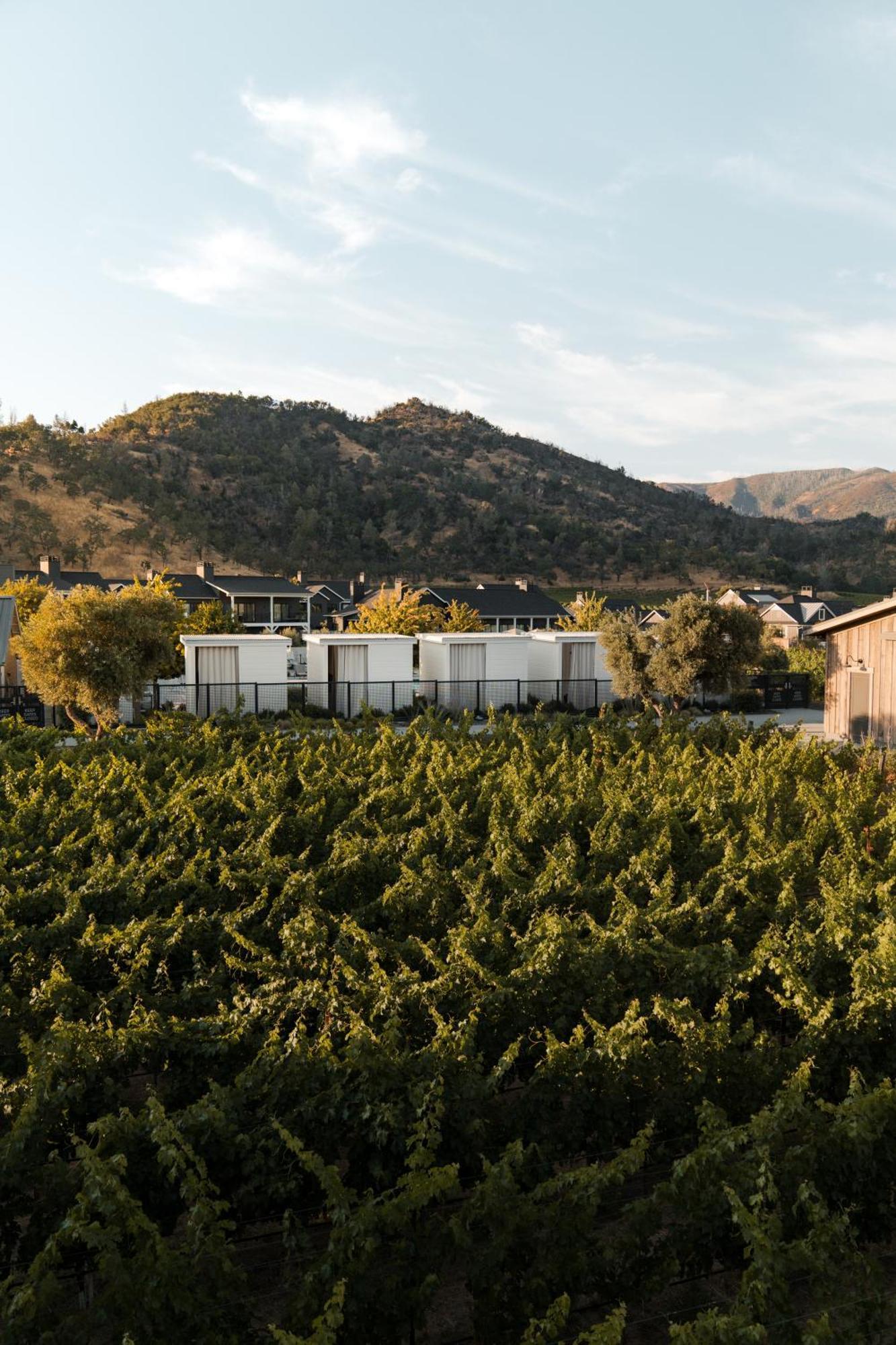Four Seasons Resort Napa Valley Калистога Екстериор снимка